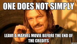 marvelendcredit2