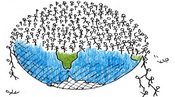 overpopulation